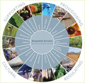 Ecosystem Services